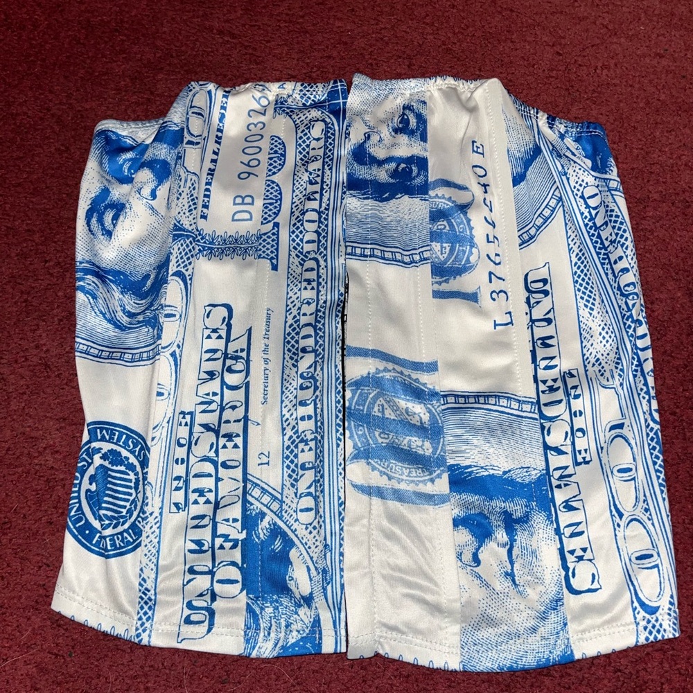 8 Birdies- Blue and White Dollar Print Corset